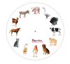 Wall Clock with 12 Birds / Animal Sounds