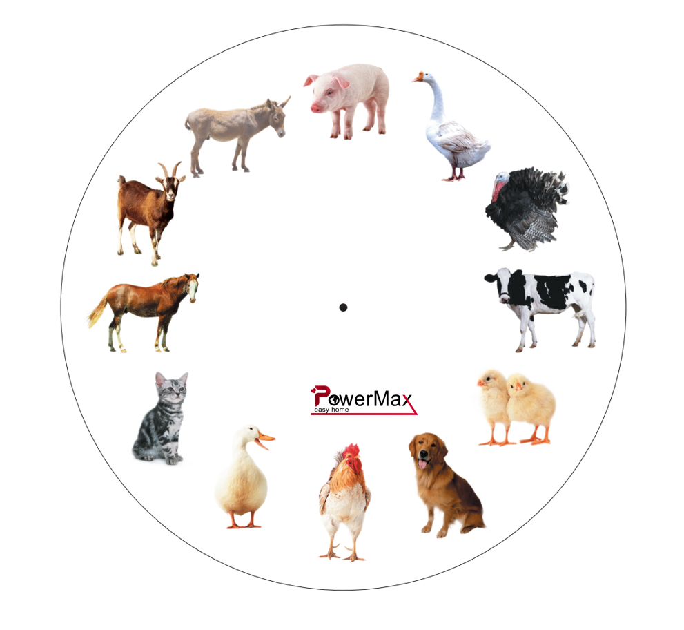 Wall Clock with 12 Birds / Animal Sounds