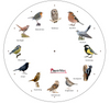 Wall Clock with 12 Birds / Animal Sounds
