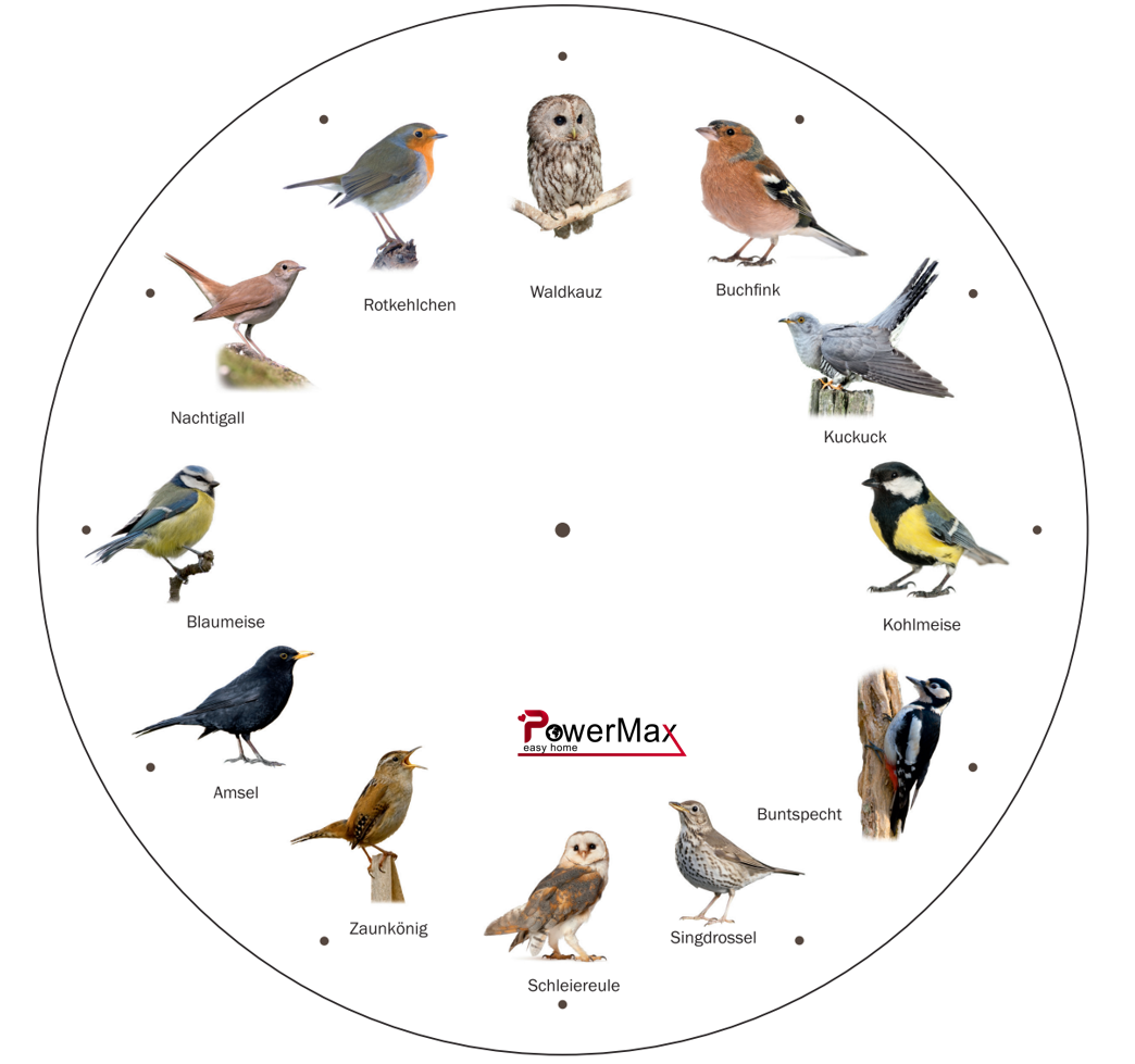 Wall Clock with 12 Birds / Animal Sounds