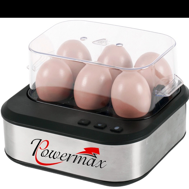 Speak Egg Boiler 
