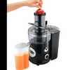 Self-cleaning Juicer